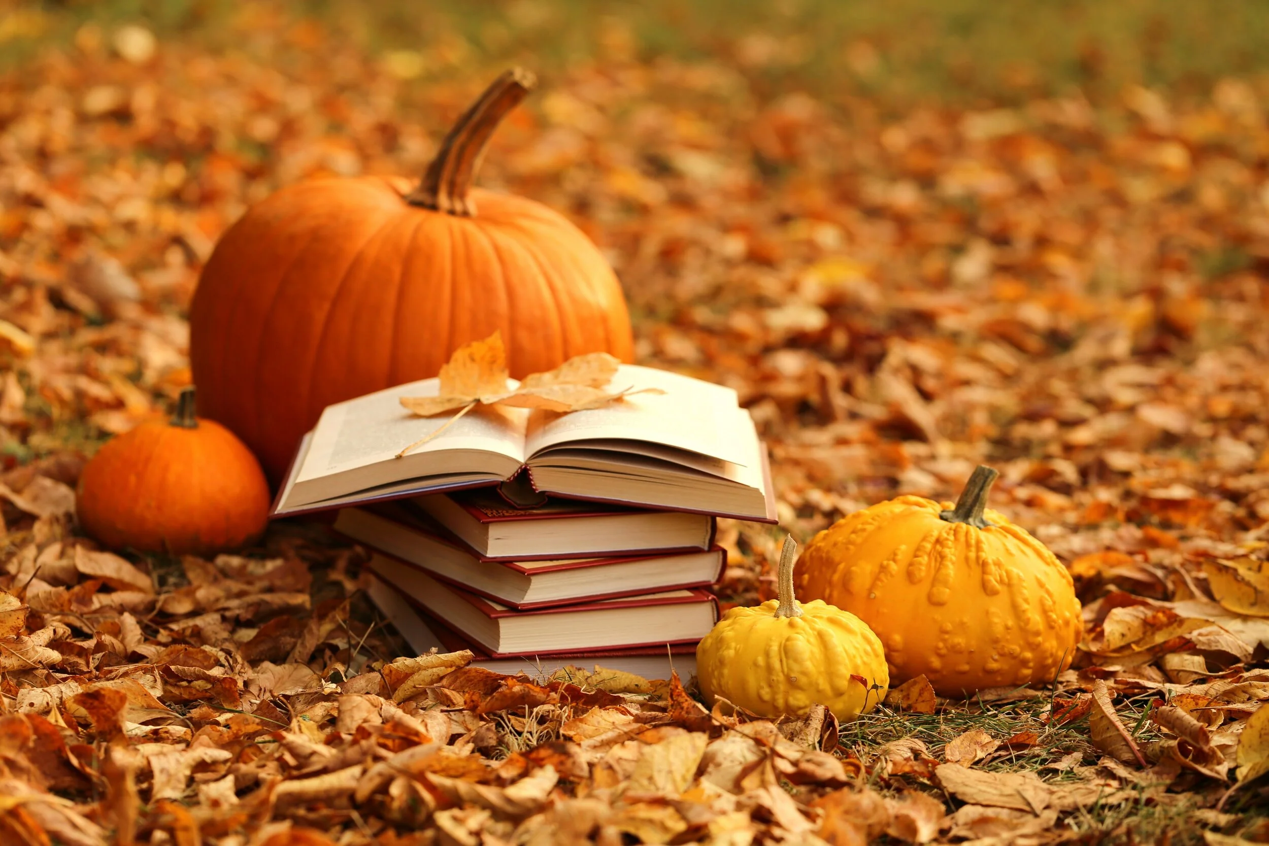 October is National Book Month!