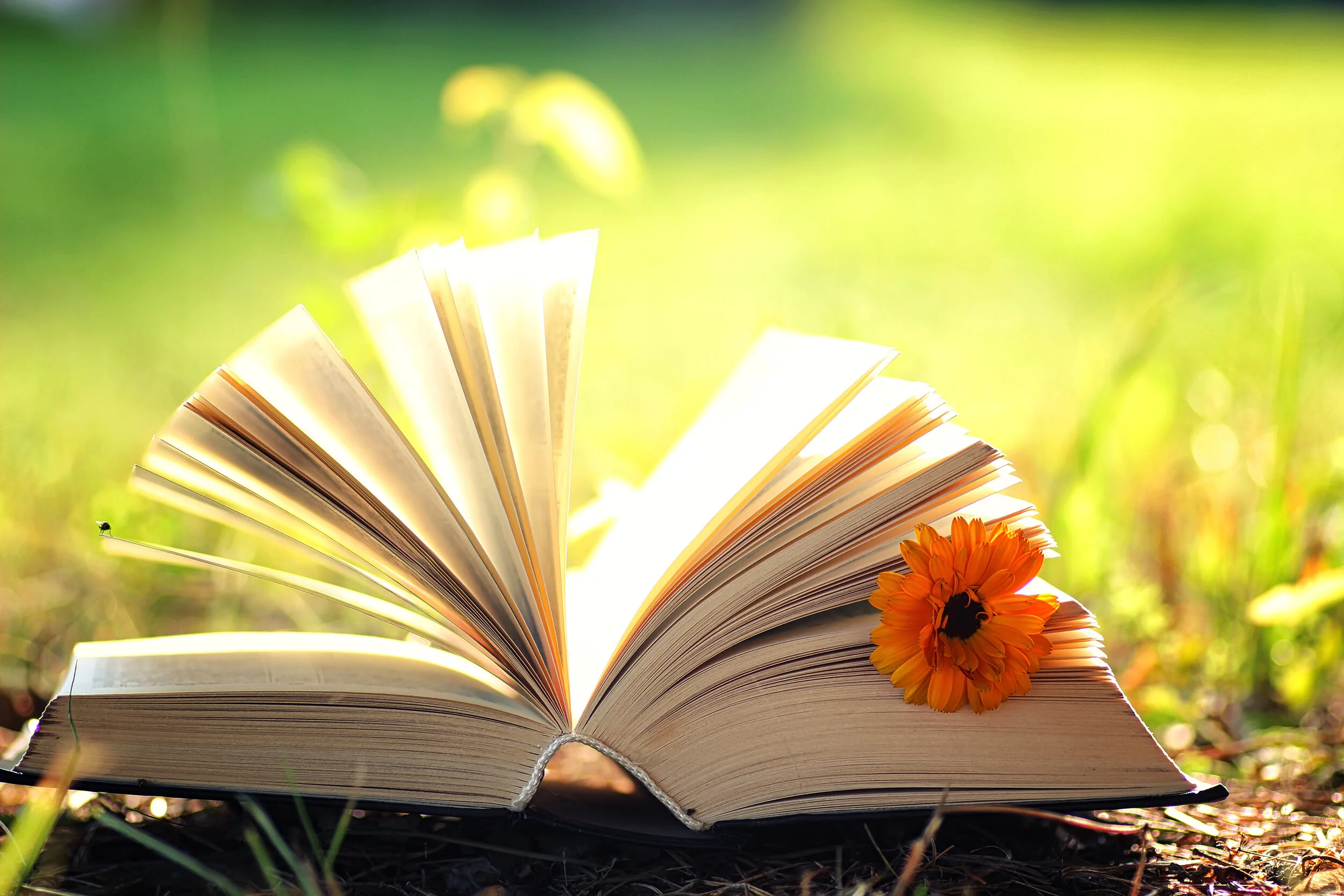 March is National Reading Awareness Month!