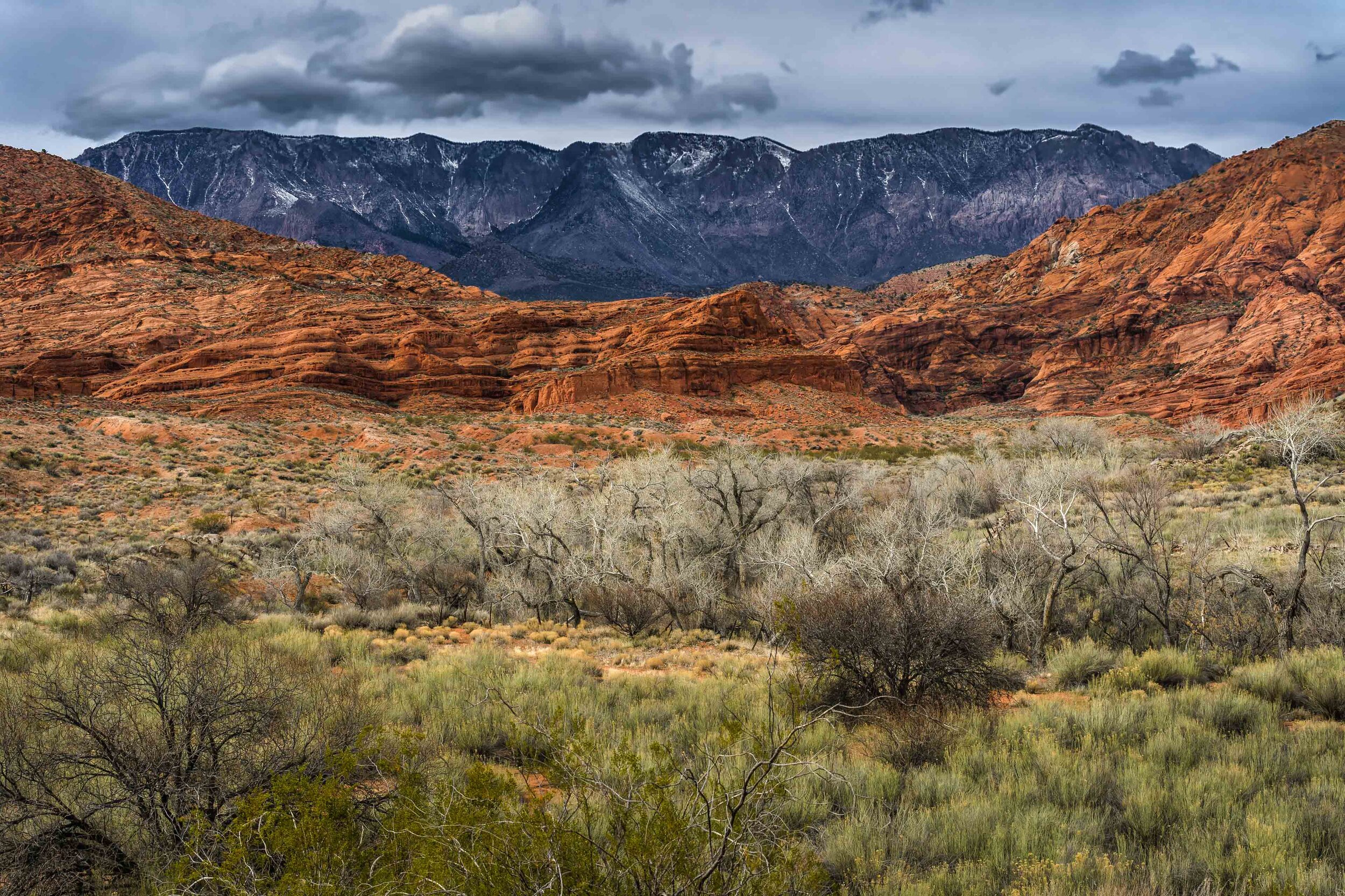 RedCliffsCOLORLayers2-5.jpg