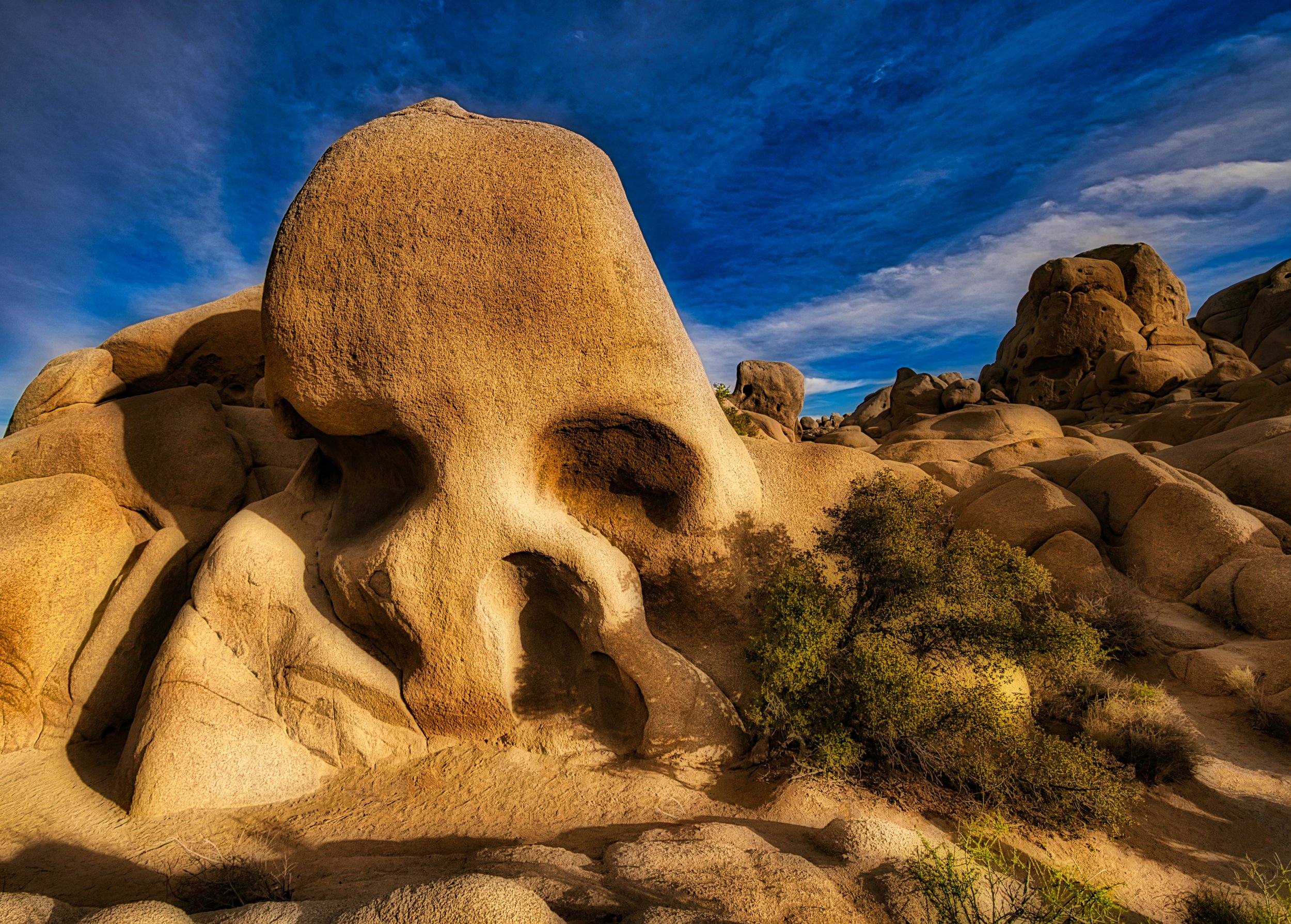 SkullRock@JTP3.jpeg