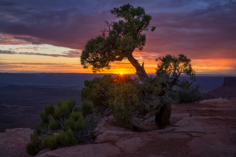 Website 2021 Resized (26 of 150).jpg