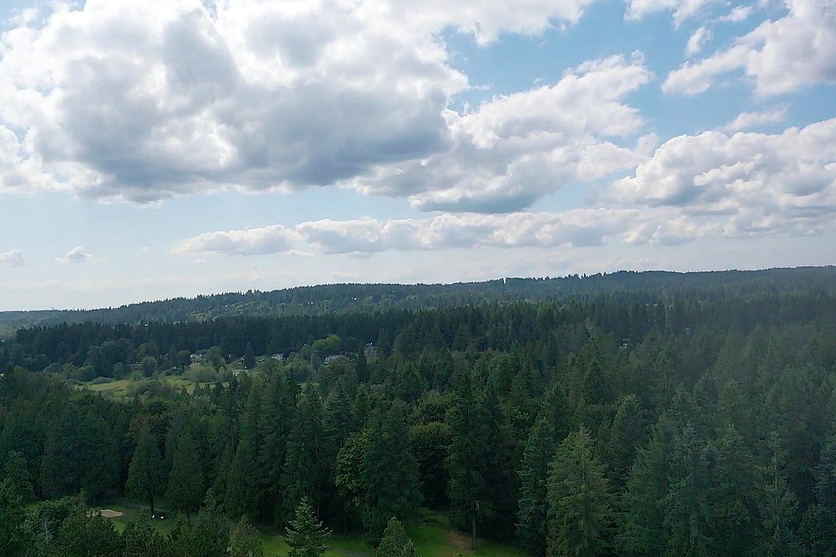 Woodinville-Wa-ariel-view-of-trees