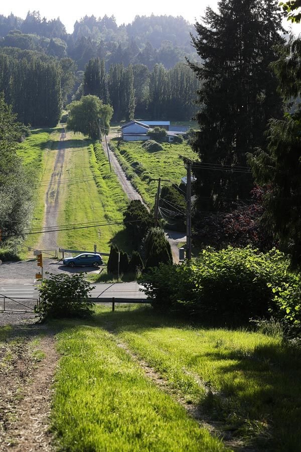 Heart Attack Hill on the Tolt Pipeline in Hollywood hills Woodinville WA