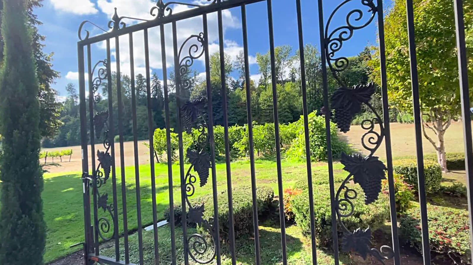 Iron-gate-opeing-to-a-Vineyard-in-Woodinville-Washington