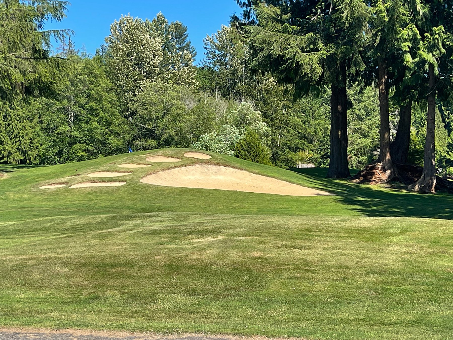 Bear-Creek-Country-Club-golf-course-bear-paw-sand-pit-in-Woodinville-Wa.