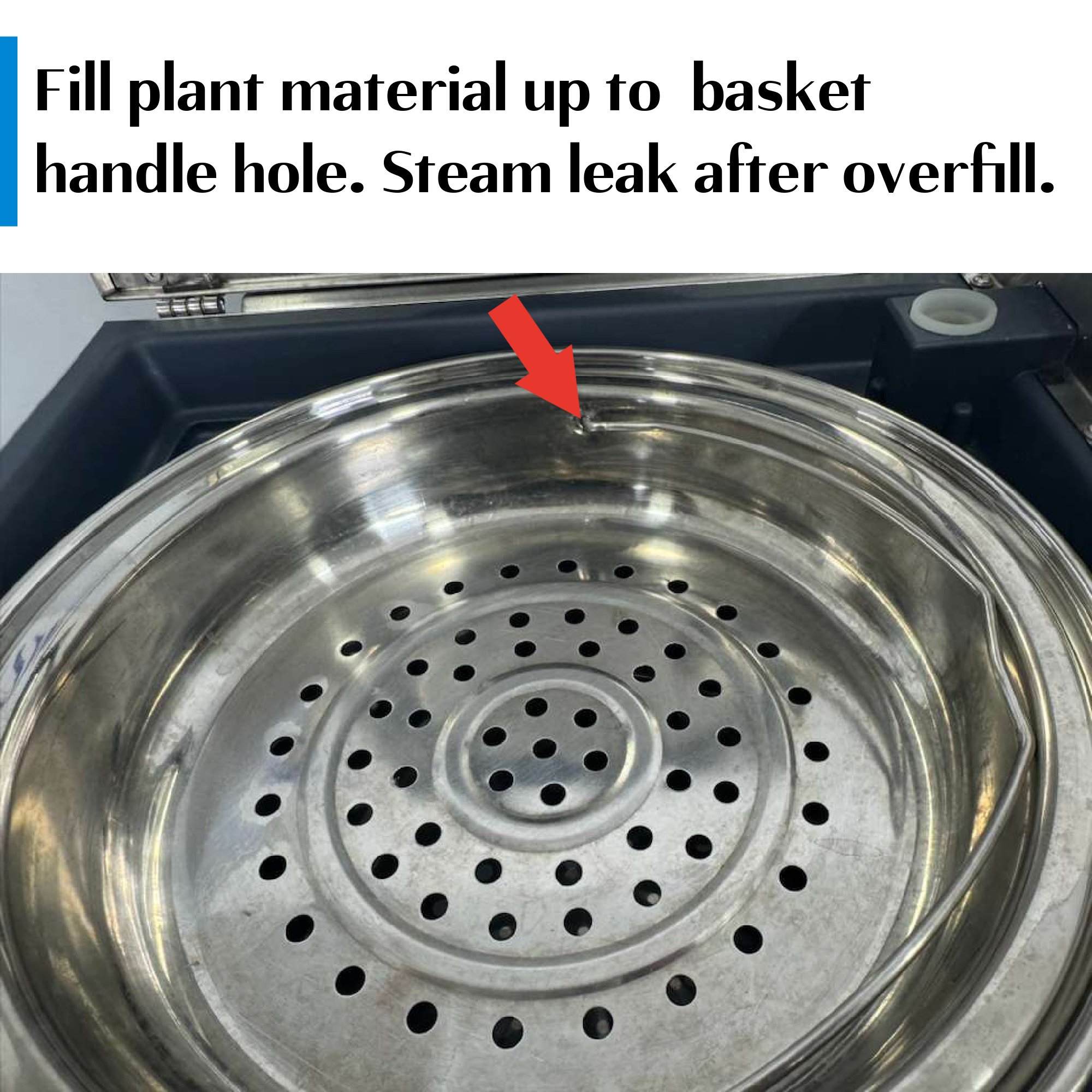 Plant material in basket.jpg