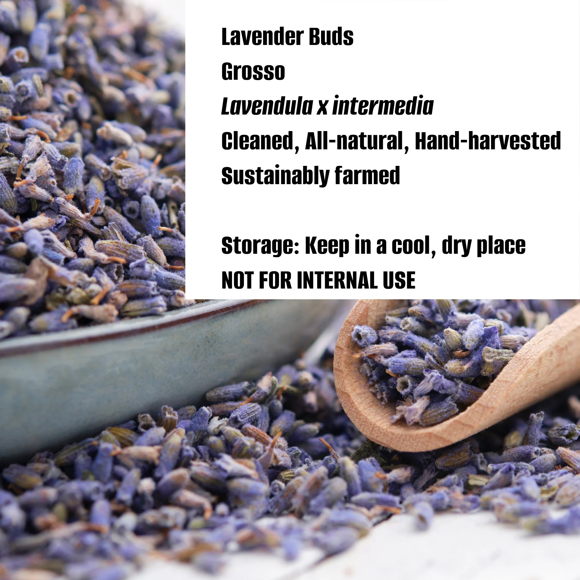 lavender information.jpg