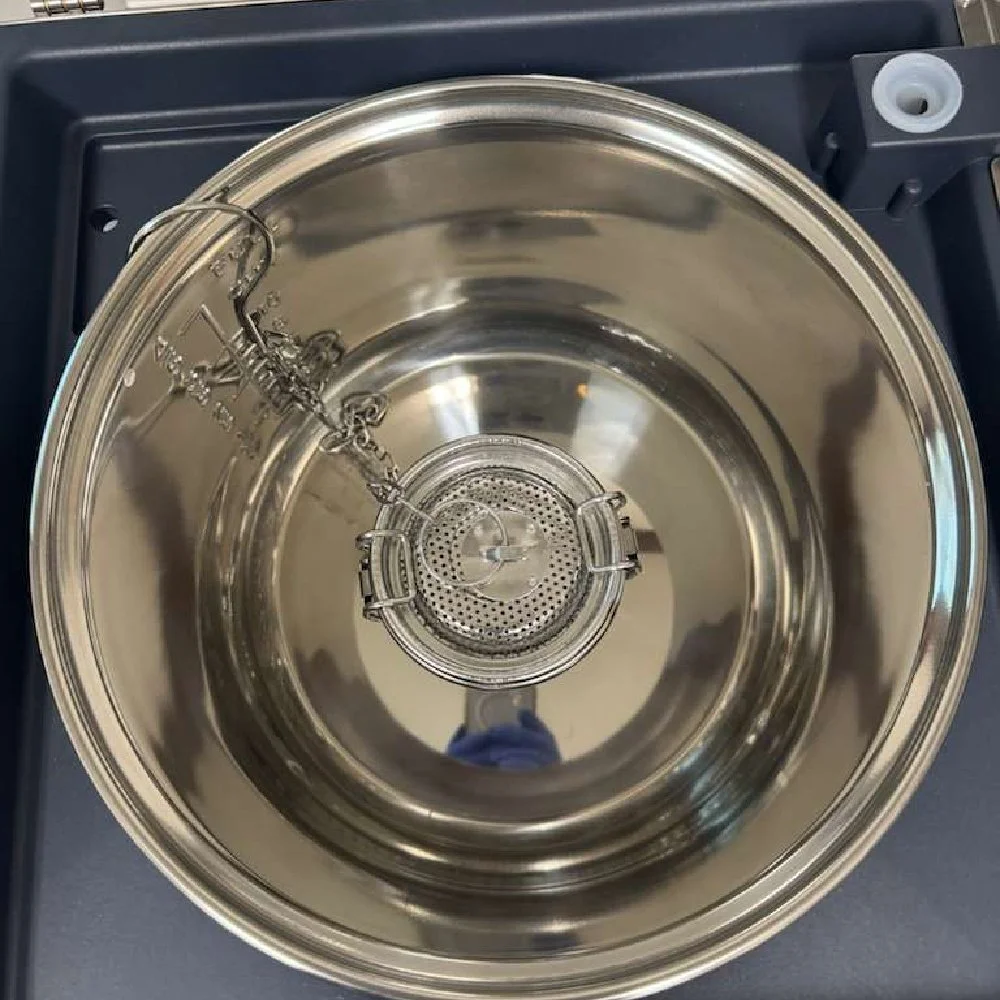 in pot 1.jpg