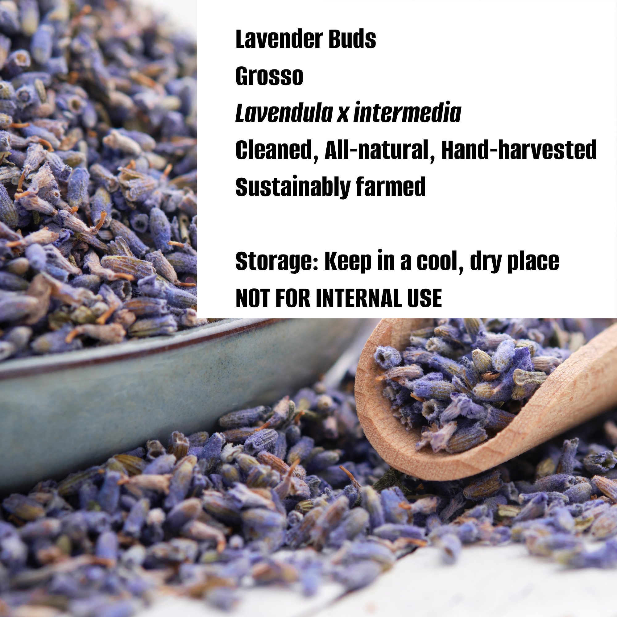 lavender information.jpg