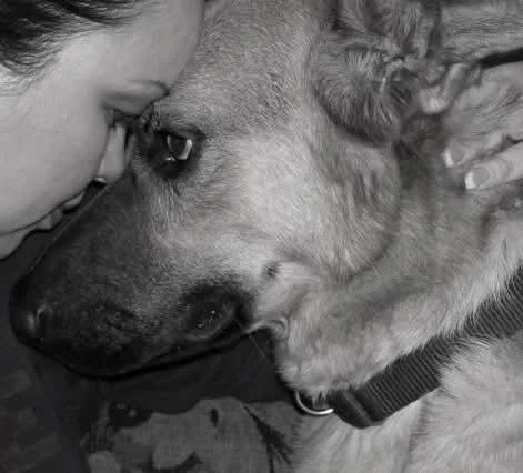Sherry Haycraft, death doula and founder of Wayfinder Life & Legacy in Corona, CA and German Shepherd dog staring into each other's eyes and touching foreheads closely