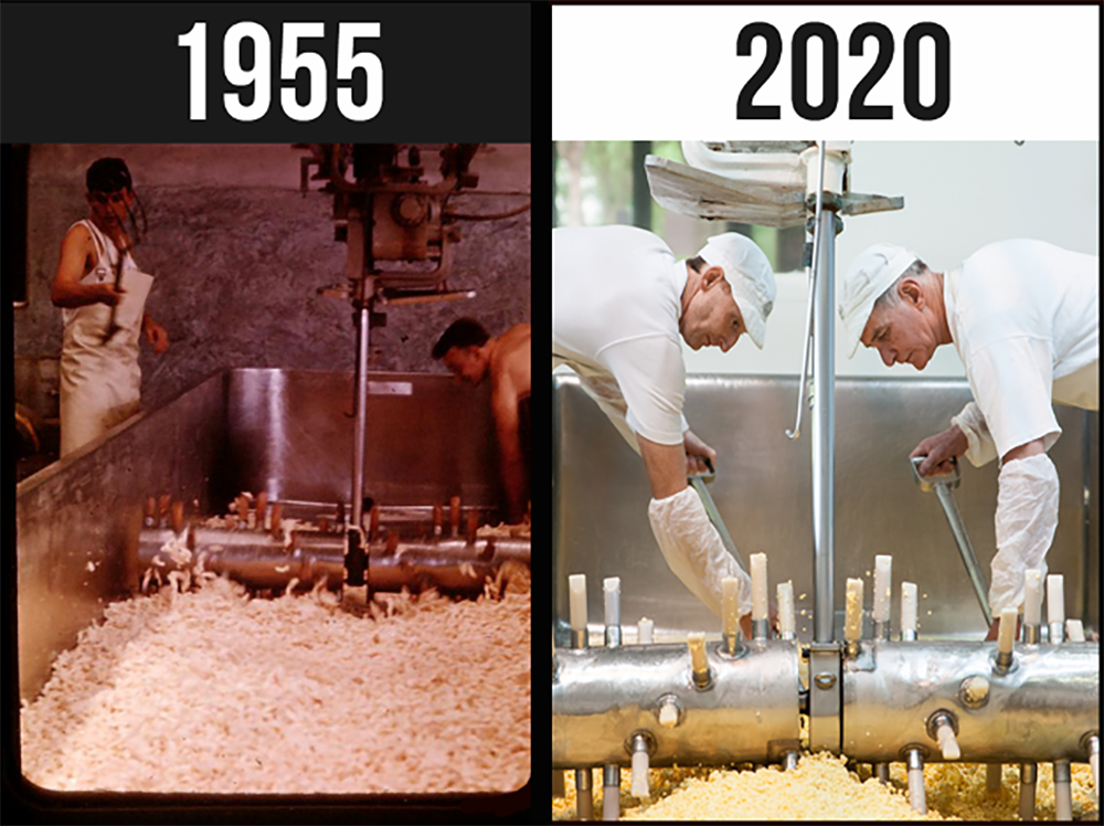 The Cheddaring process at Barrys Bay Cheese, 65 years apart and still using the same methods!