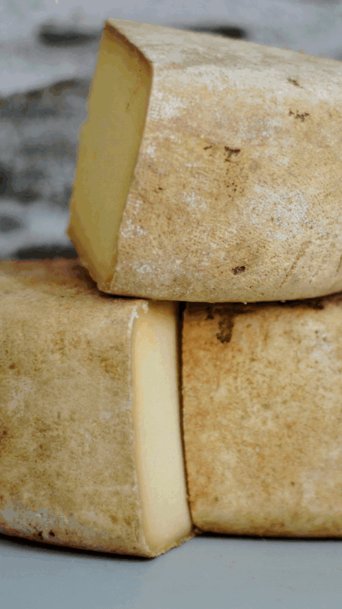 General 1 — CHEESE LOVERS NZ