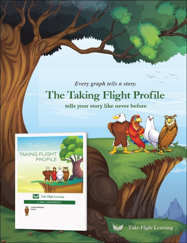 Taking-Flight-Profile-Brochure-Image.jpg