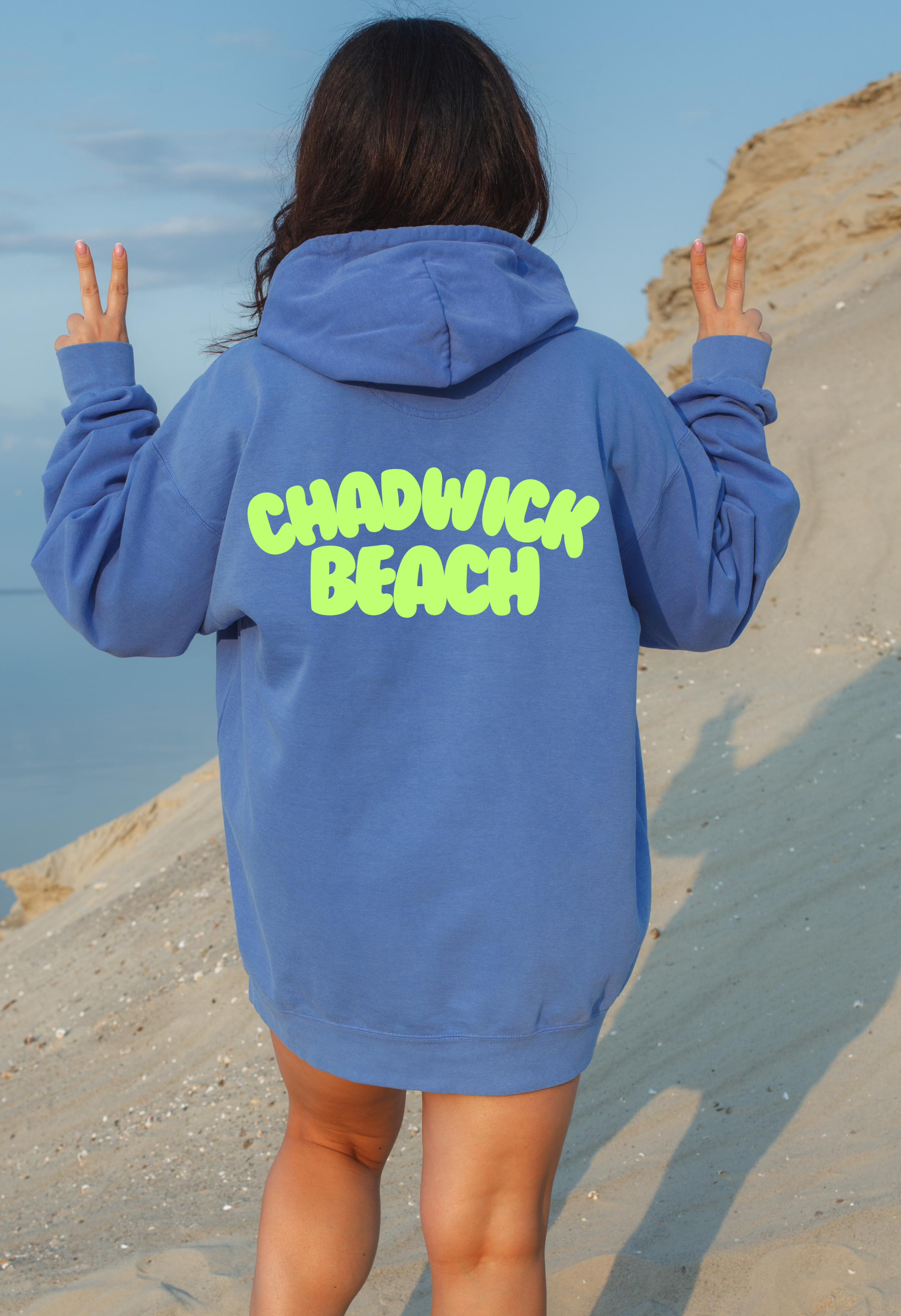 Chadwick Beach Premium Unisex Hoodie