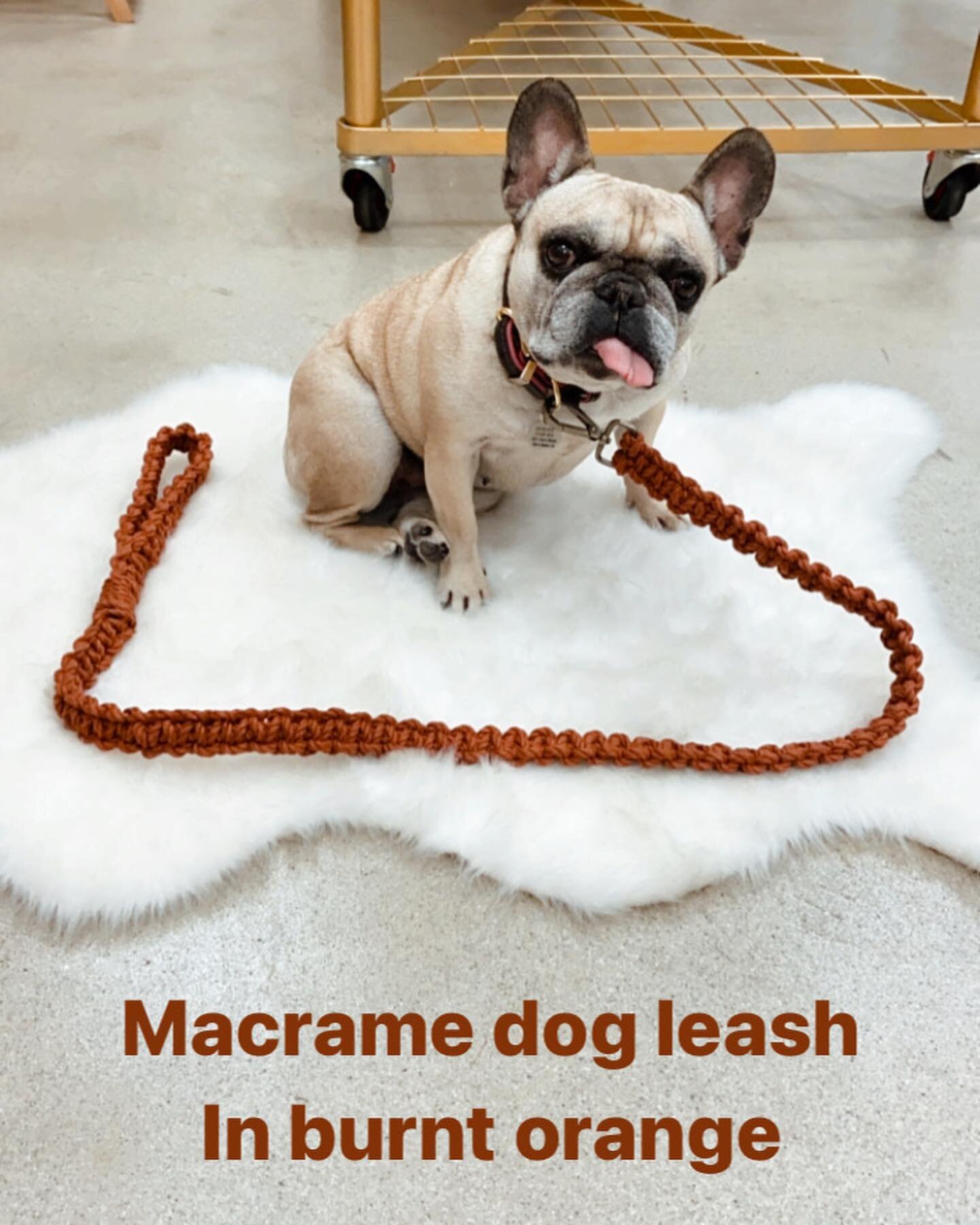 We are so in love with our custom made macrame dog leashes. First batch coming to the website are burnt orange, mustard, blush and vanilla. These leashes are really strong and well made $30 each. Coming soon! #macramedogleash #bohovibes #frenchiesofi