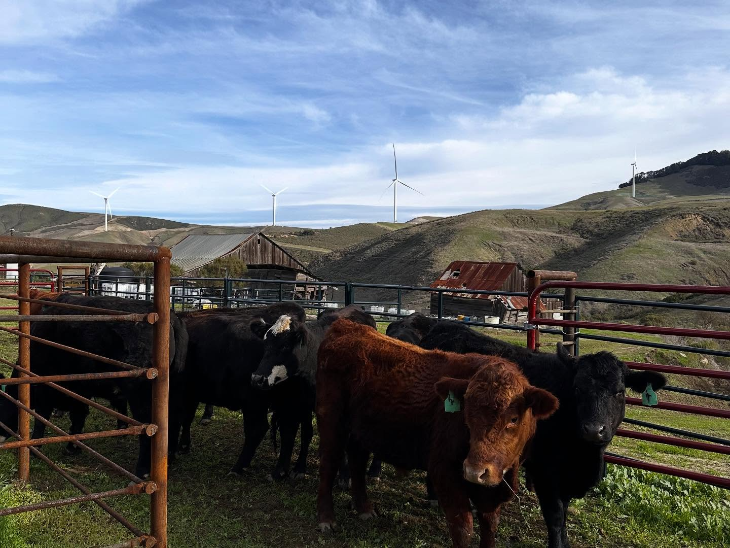 Brothers of Industry_Client Index.png