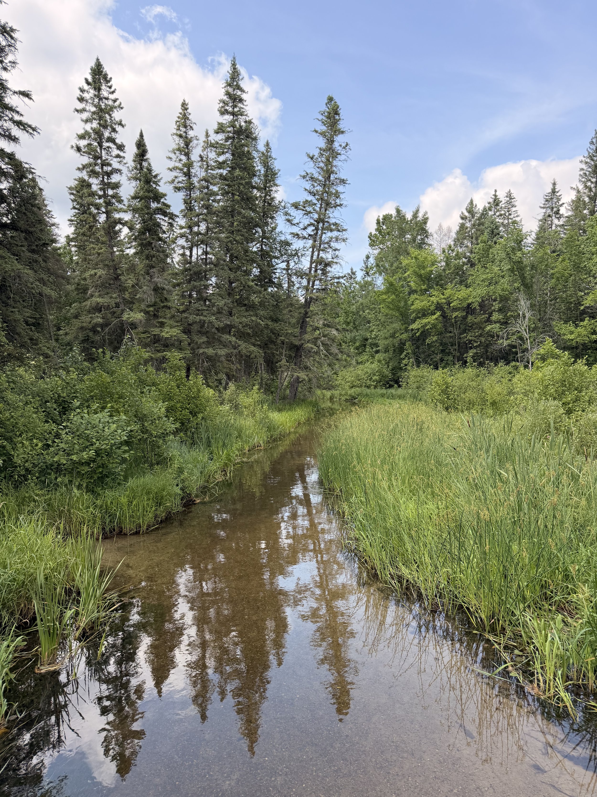 Tracing Our Rivers: The Upper Mississippi --- 6/21-7/3/27