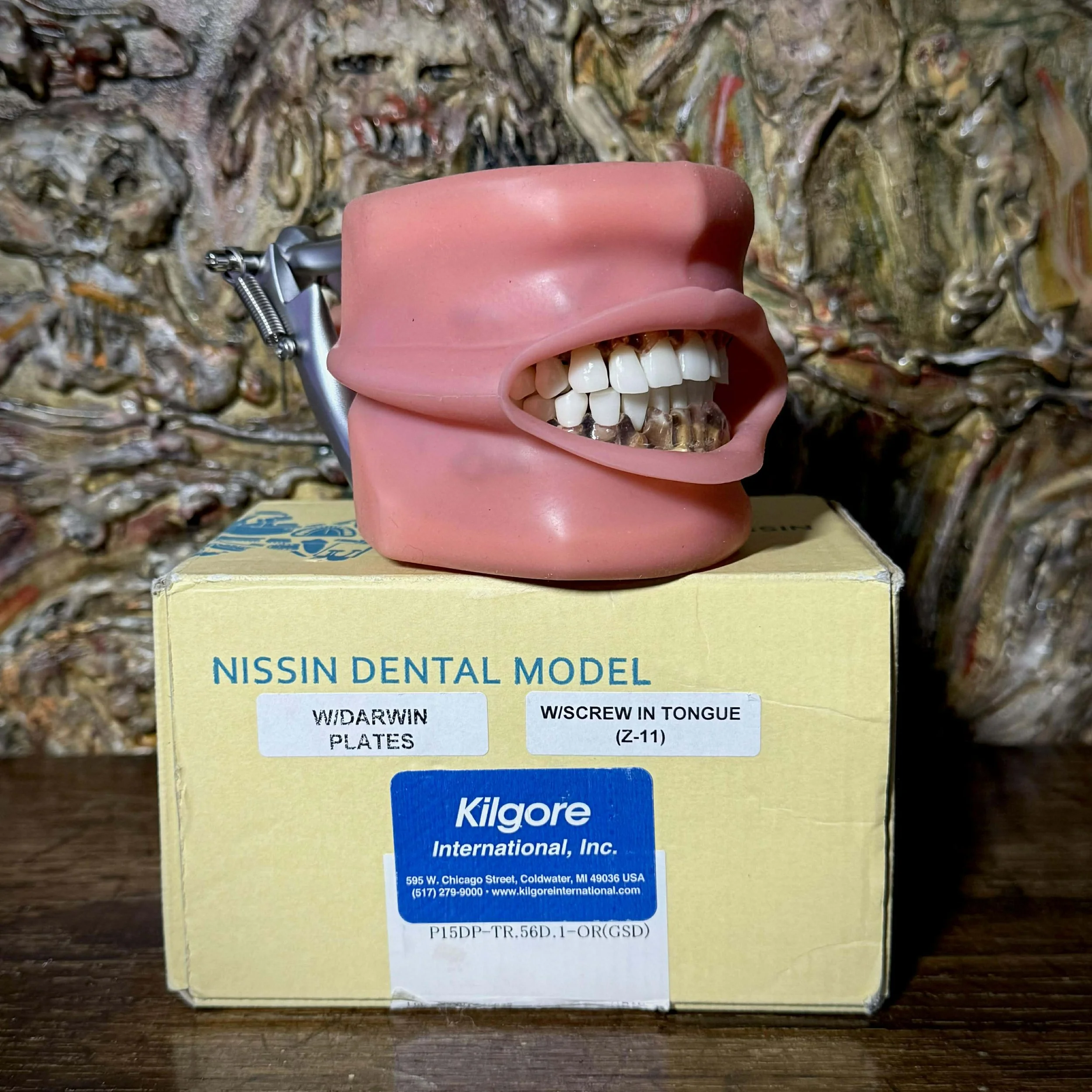 Kilgore Nissin Dental Model