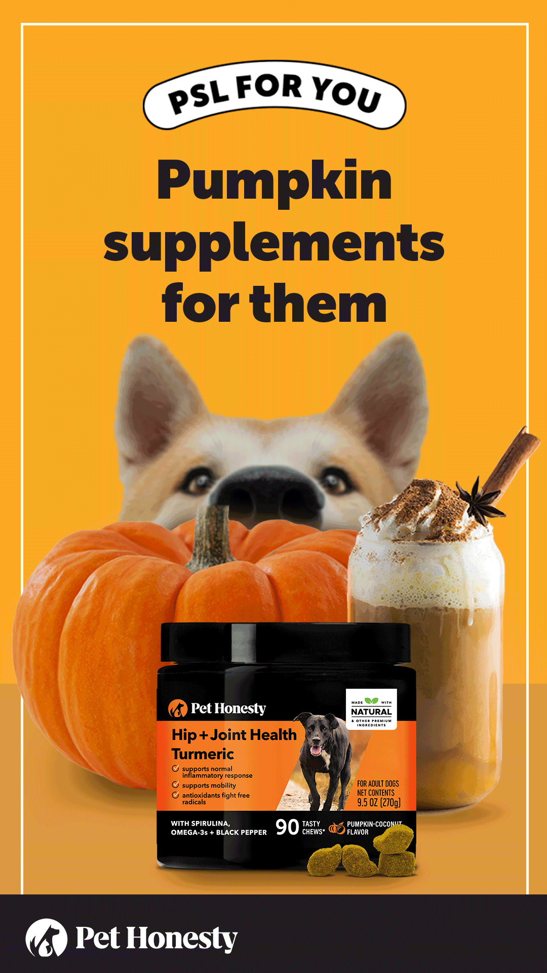 C013_Probiotics-9X16.gif
