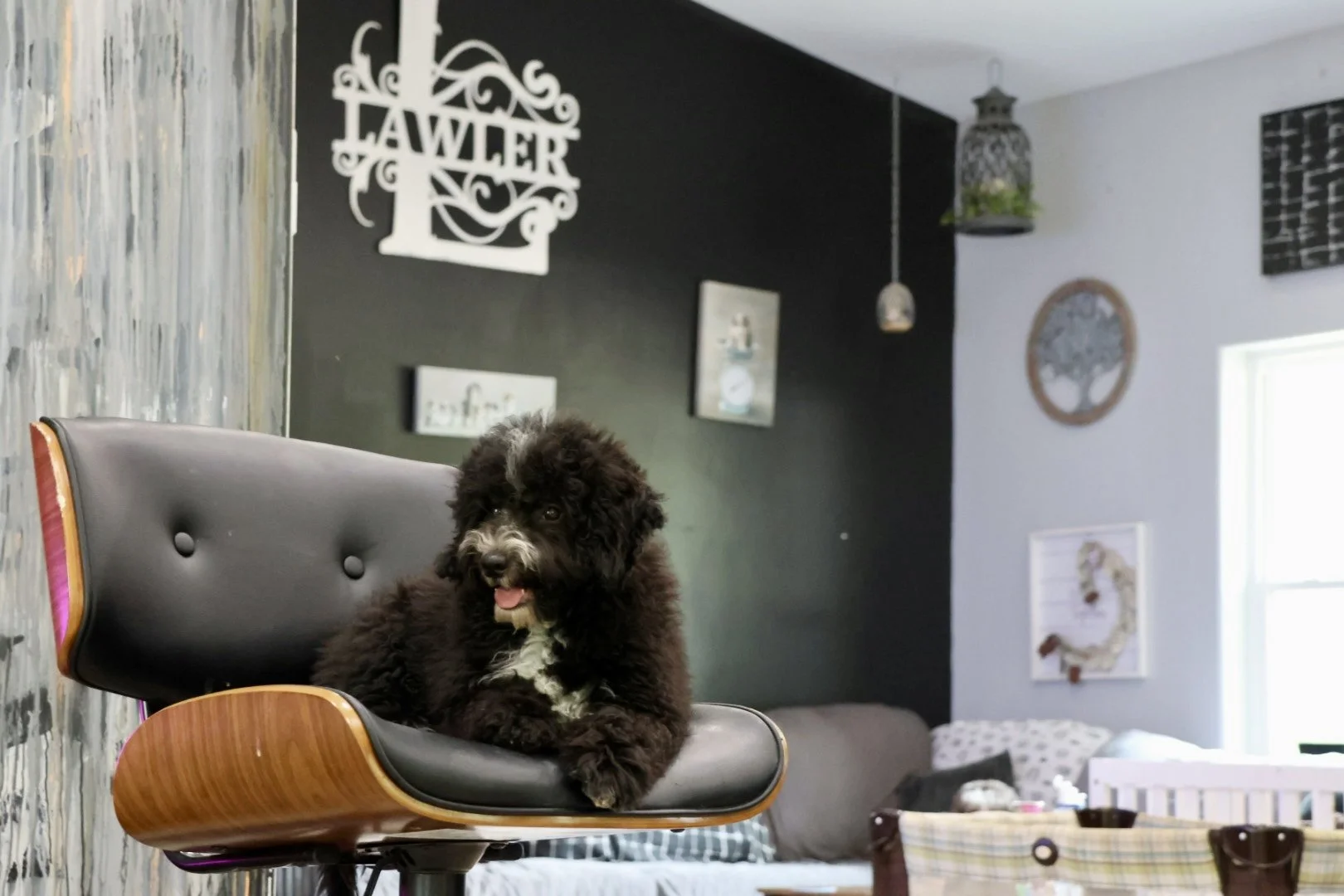 094A2732.jpeg