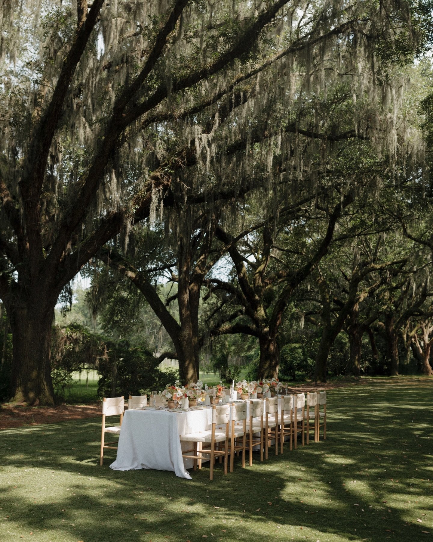 Just dreaming of these details from a Charleston micro-wedding🕊️

&bull;

PSA for any east coast brides getting married in 2026 or 2027&mdash;I adore the east coast and am making my way that direction once business slows down in Colorado!! So if you