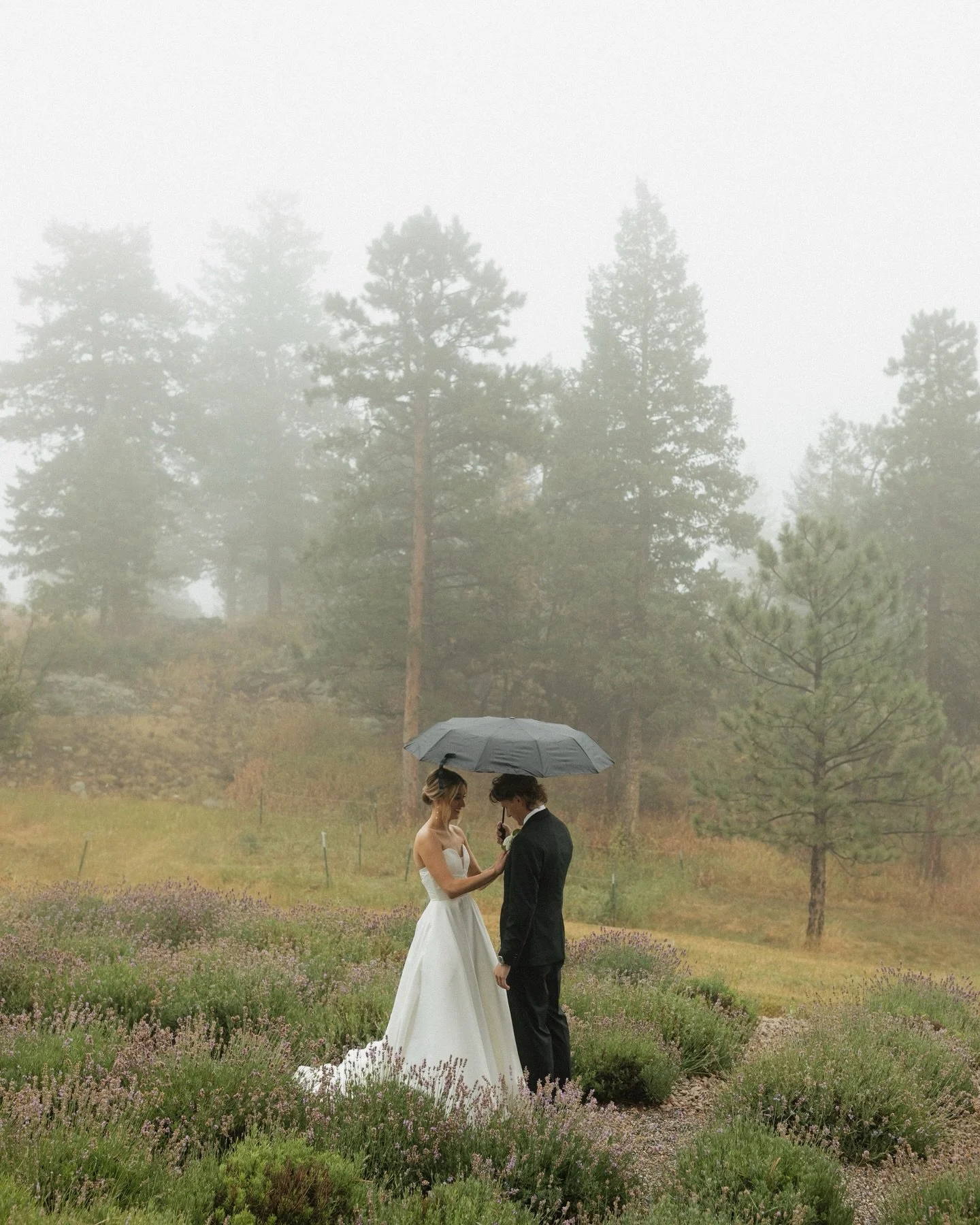 Private vows in a field of lavender in the rain&mdash;nothing gets more romantic than that🕊️🫶🏼🪻

-
-
-
-

Second shot for my girly @chandlerjphoto 

#privatevows #2027bride #coloradoweddingphotographer #intimateweddings #newlywed private vows, Co