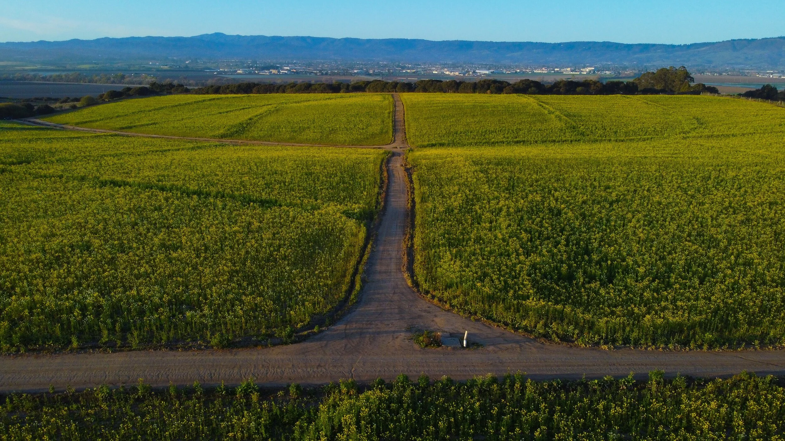 Drone Services-19.jpg