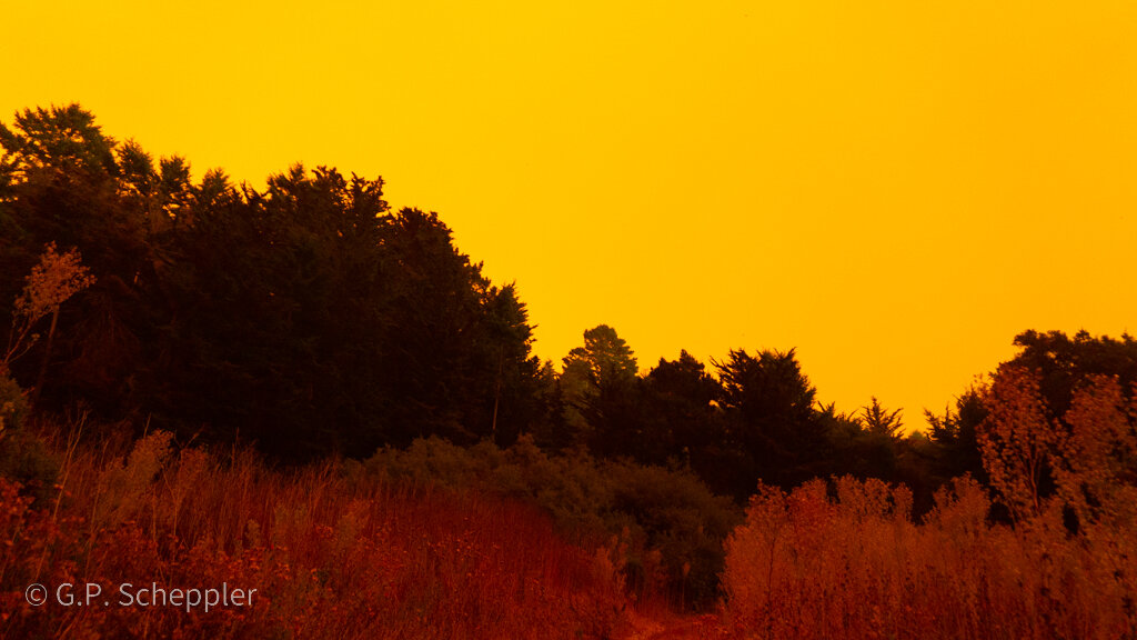 DSC08682.jpg