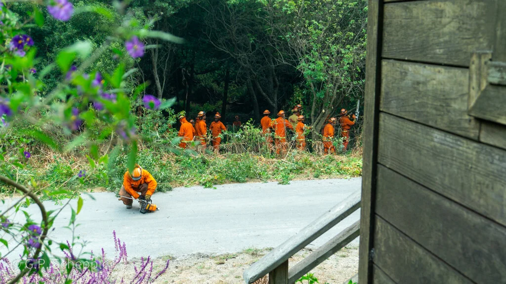 DSC00001.jpg
