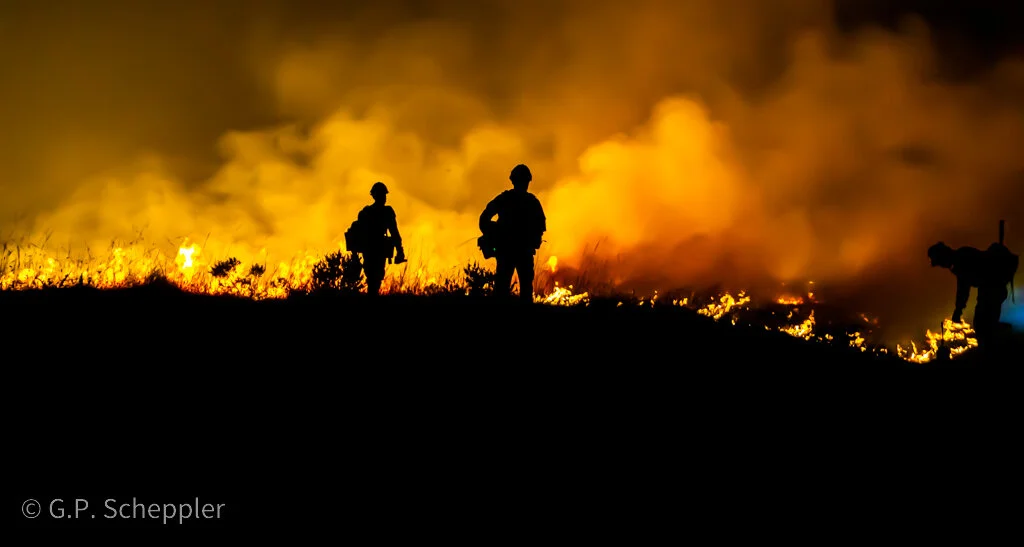 "Our goal is the guide the fire into an area we have cleared of fuel sources," said Battalion Chief Chodini. "The wind off the ocean is pushing the fire back into our controlled back burn, which helps direct embers into areas devoid of fuel. Not forw