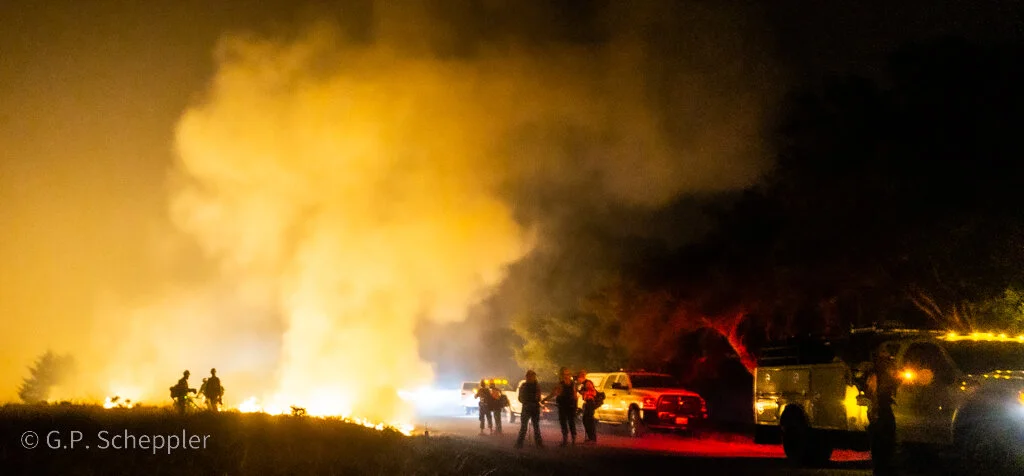 Cal Firefighters work with Bureau of Land Management to clear a burn line between the CZU Lightning Complex Fire and the community of Davenport. This crew is made up of Cal Fire Crew 2383 out of Alta and Bureau of Land Management Engine 3147 from Mid