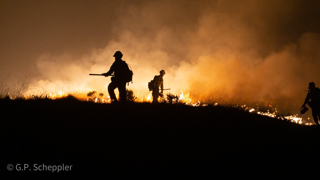  Kern Valley Inter Agency Hot Shots Crew clear a burn line along Chotoni Coast Dairies Ridge. This is the tip of the spear in the battle to save Davenport being waged by the Bureau of Land Management & Cal Fire. This crew is made up of Cal Fire Crew 