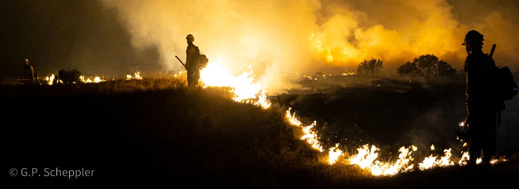 Kern Valley Inter Agency Hot Shots Crew clear a burn line along Chotoni Coast Dairies Ridge. This is the tip of the spear in the battle to save Davenport being waged by the Bureau of Land Management & Cal Fire. This crew is made up of Cal Fire Crew 2