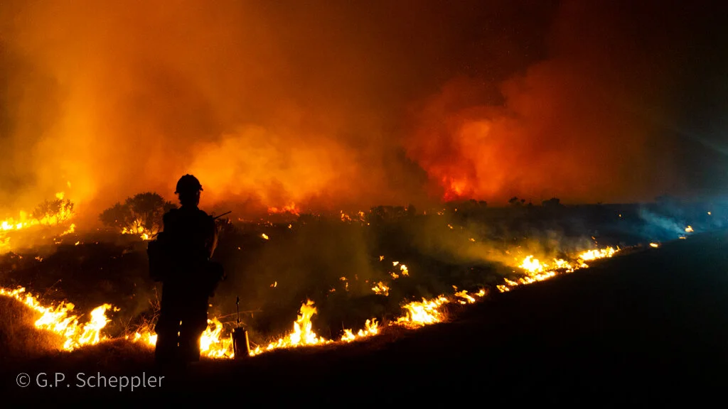Kern Valley Inter Agency Hot Shots Crew clear a burn line along Chotoni Coast Dairies Ridge. This is the tip of the spear in the battle to save Davenport being waged by the Bureau of Land Management & Cal Fire. This crew is made up of Cal Fire Crew 2