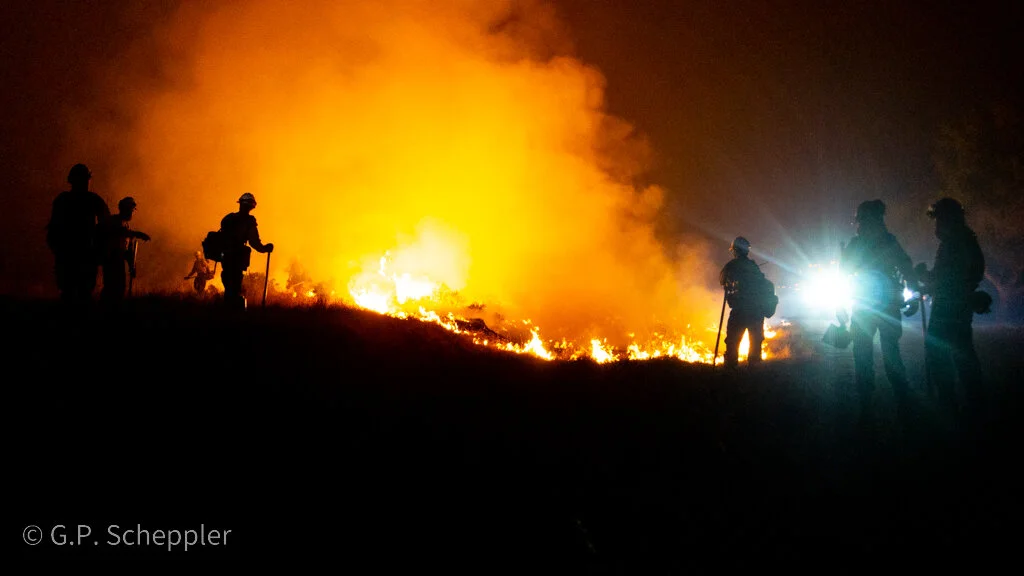 Kern Valley Inter Agency Hot Shots Crew clear a burn line along Chotoni Coast Dairies Ridge. This is the tip of the spear in the battle to save Davenport being waged by the Bureau of Land Management & Cal Fire. This crew is made up of Cal Fire Crew 2