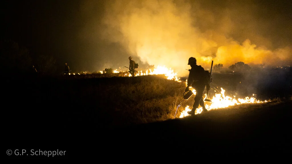 Kern Valley Inter Agency Hot Shots Crew clear a burn line along Chotoni Coast Dairies Ridge. This is the tip of the spear in the battle to save Davenport being waged by the Bureau of Land Management & Cal Fire. This crew is made up of Cal Fire Crew 2