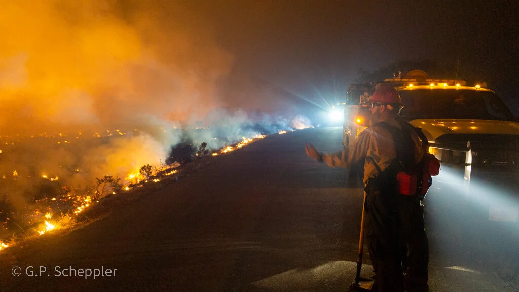 The Bureau of Land Management has been on station fighting the CZU Lightning Complex fire for seven days. They sleep in the field and work 16 hour shifts. This crew is made up of Cal Fire Crew 2383 out of Alta and Bureau of Land Management Engine 314
