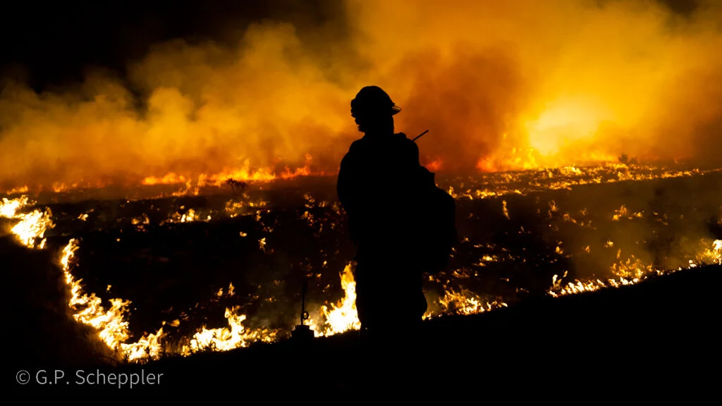Kern Valley Inter Agency Hot Shots Crew clear a burn line along Chotoni Coast Dairies Ridge. This is the tip of the bleeding edge of the battle to save Davenport being waged by the Bureau of Land Management & Cal Fire. This crew is made up of Cal Fir
