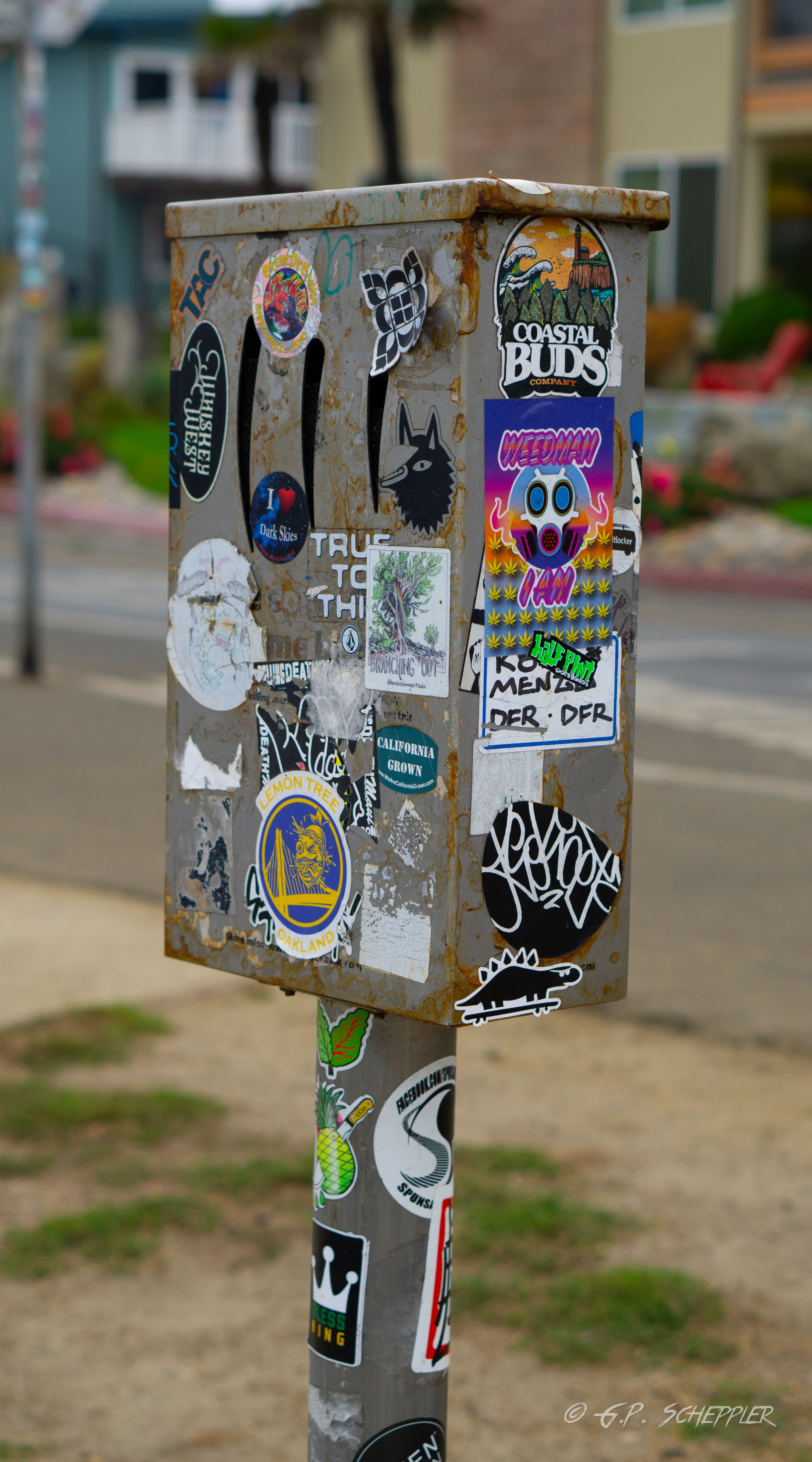 DSC05218.jpg