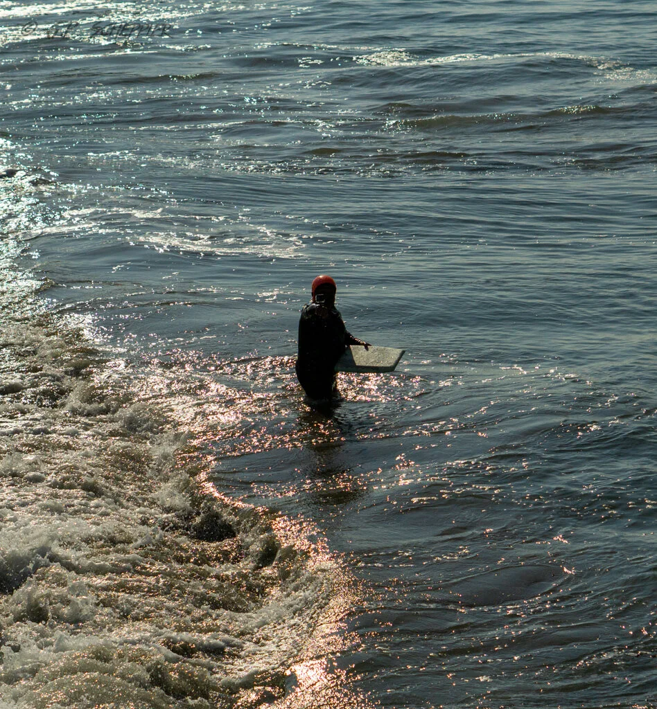 DSC07685.jpg
