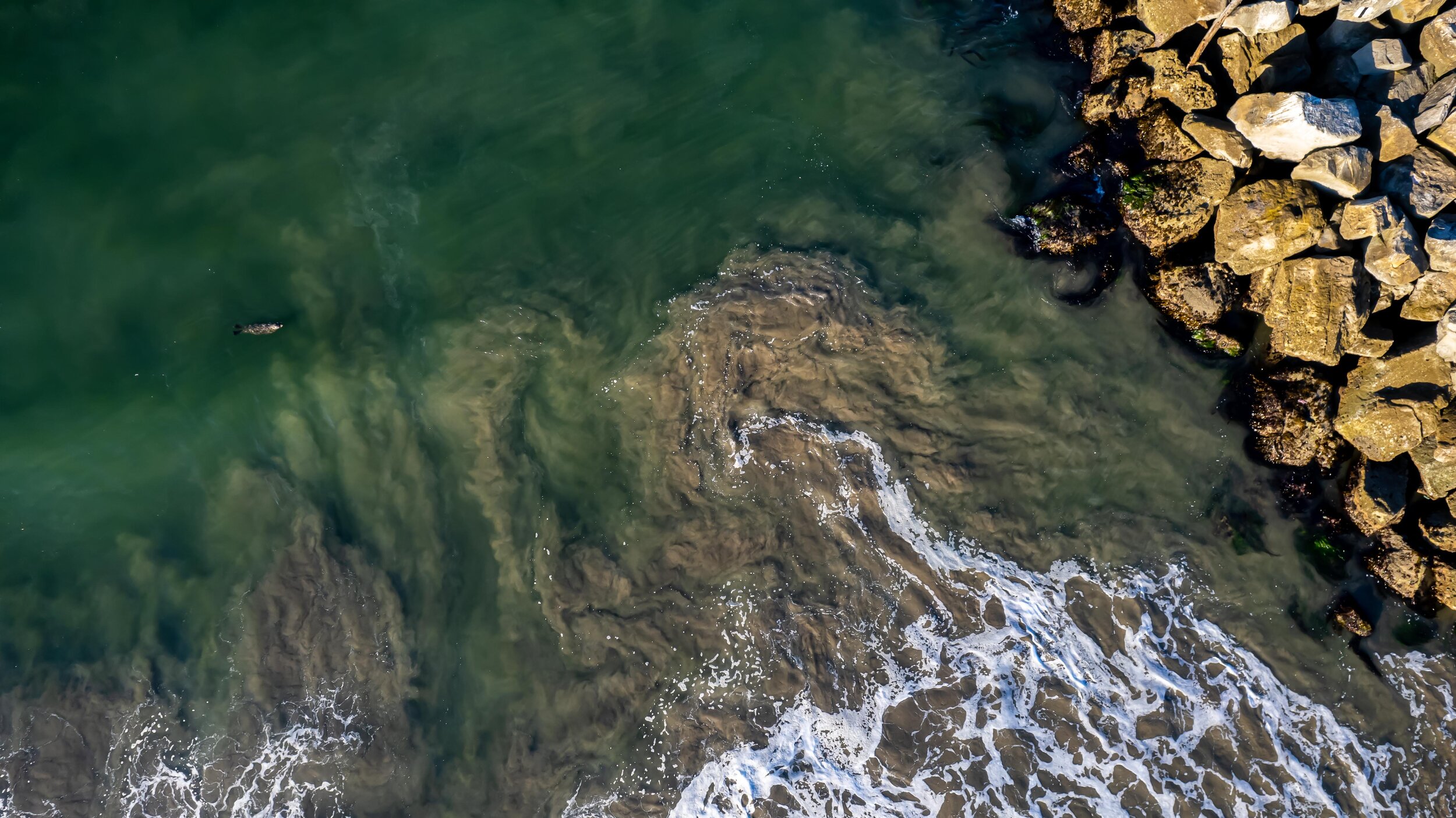 Drone Services-09.jpg