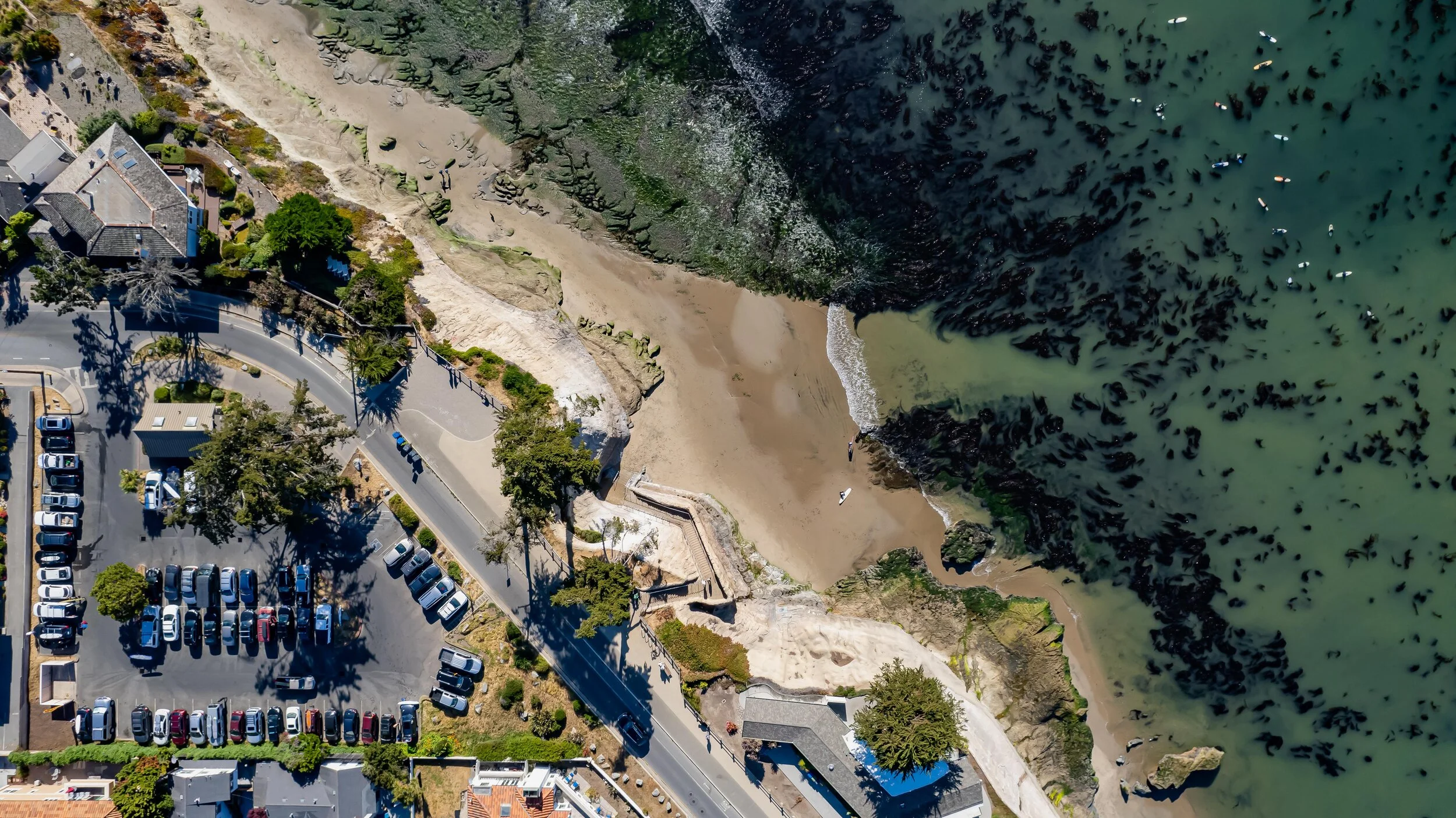 Drone Services-13.jpg