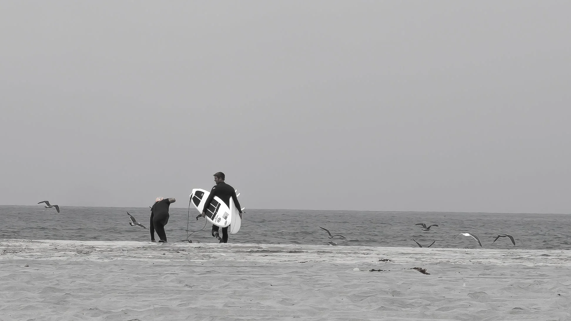 Buddy Surf Shots-8.jpg