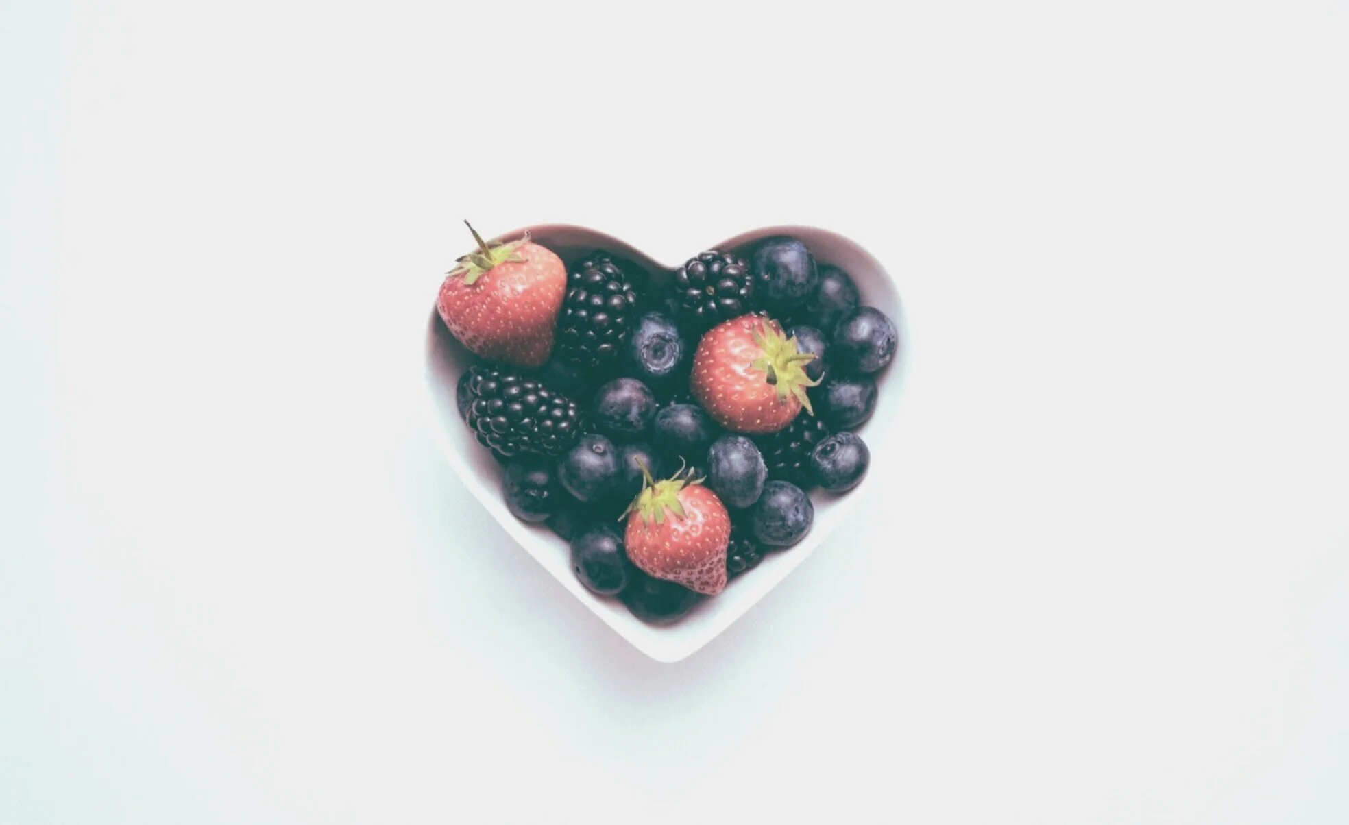 Whole Heart Cardiology
