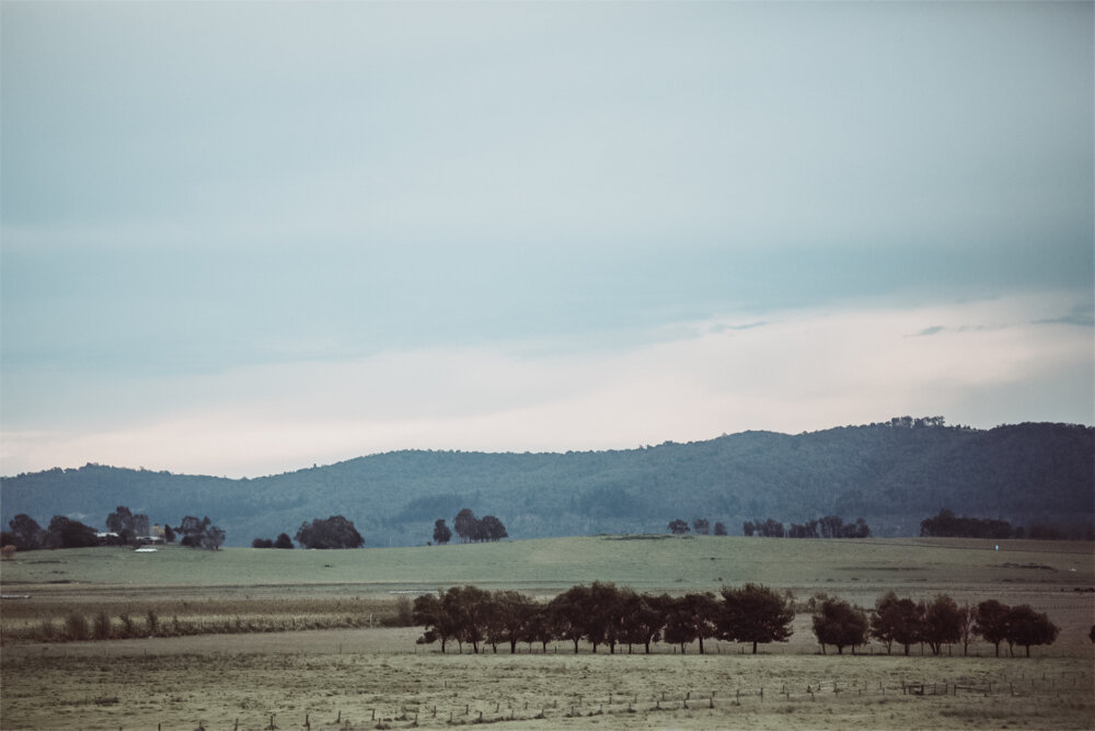 YARRA VALLEY WEDDING PHOTOGRAPHY-78.jpg