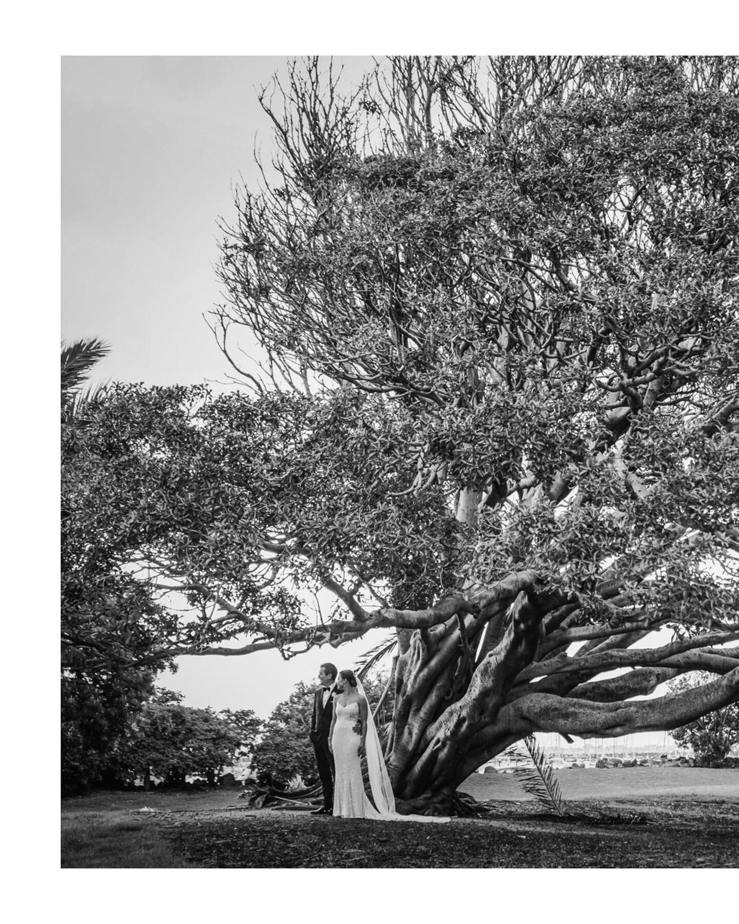 A surreal dream like Wedding photographed in the heart of St.Kilda with gorgeous Yvette n Greg. I love urban weddings just as much as I love doing an Elopement in a remote and raw natural environment.
I have always had passion for architectural persp