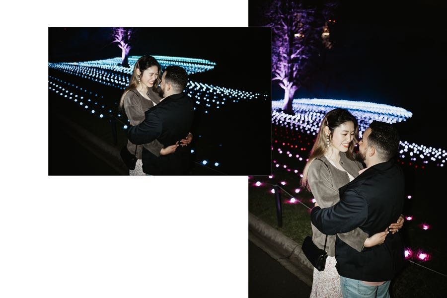 ROYAL_BOTANICAL_GARDEN_LIGHTSCAPE_ENGAGEMENT_8.jpg