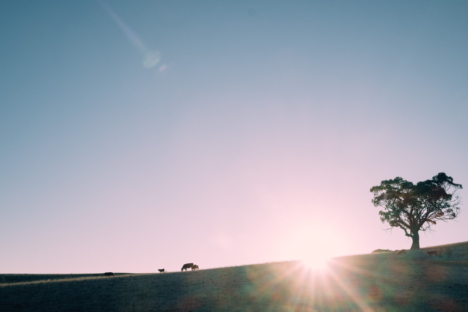 DAYLESFORD_ELOPEMENT_WEDDING-176.jpg