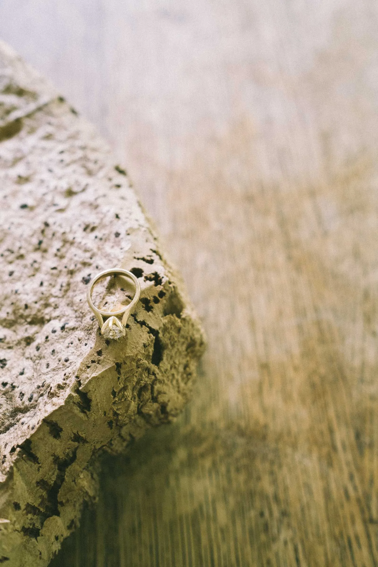 MELBOURNE BOTANICAL GARDEN WEDDING, CREATIVE IMAGE OF THE BRIDES WEDDING RING