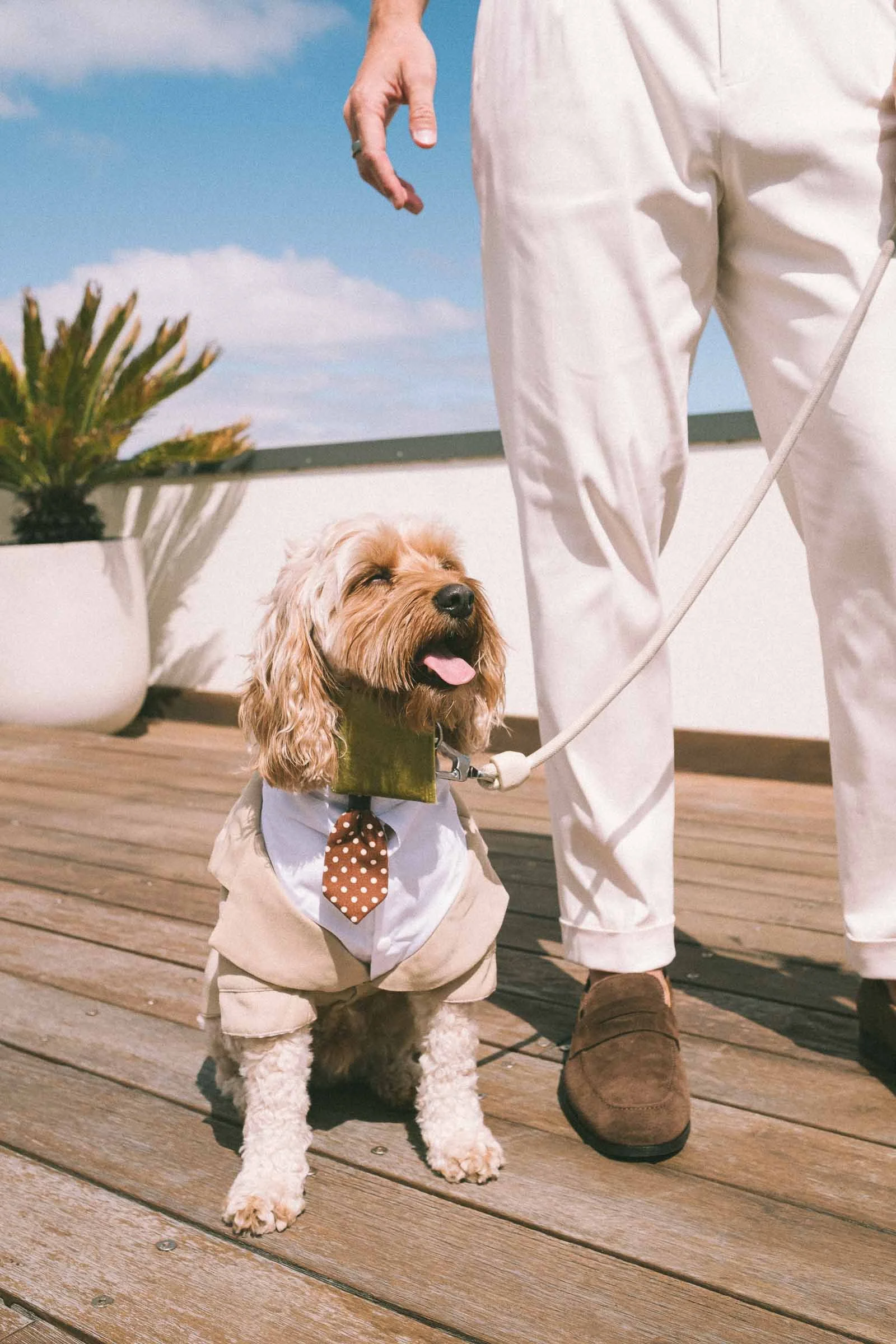 MELBOURNE_ELOPEMENT_PHOTOGRAPHY-3.jpg